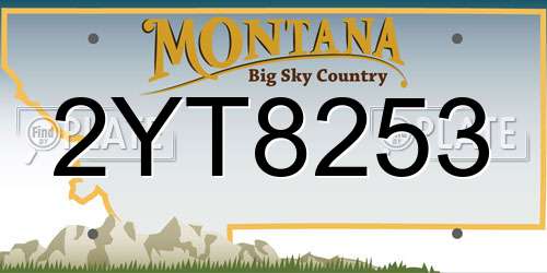 2YT8253 Montana License Plate