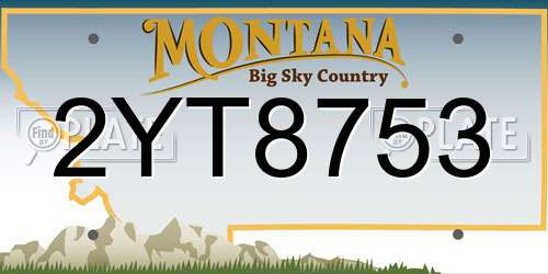 2YT8753 Montana License Plate