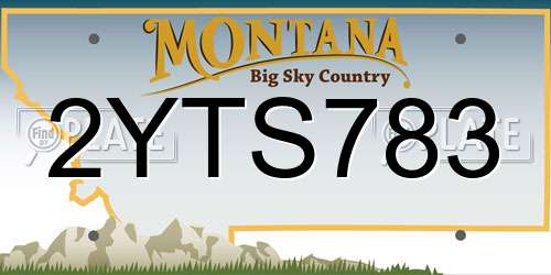2YTS783 Montana License Plate
