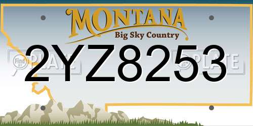 2YZ8253 Montana License Plate