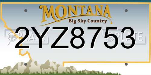 2YZ8753 Montana License Plate