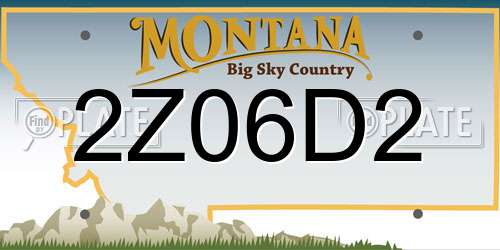 2Z06D2 Montana License Plate