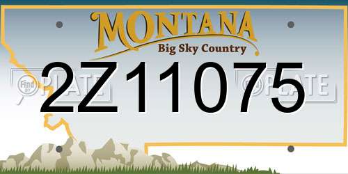 2Z11075 Montana License Plate