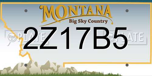 2Z17B5 Montana License Plate