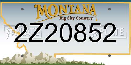 2Z20852 Montana License Plate