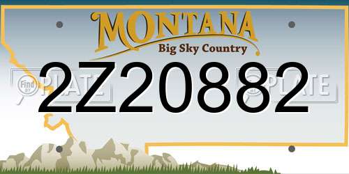 2Z20882 Montana License Plate