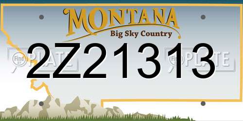 2Z21313 Montana License Plate