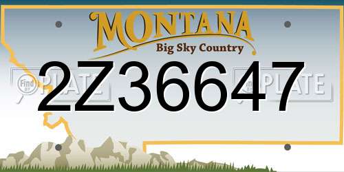 2Z36647 Montana License Plate