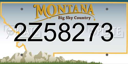 2Z58273 Montana License Plate
