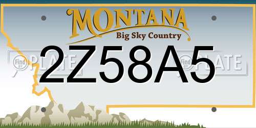 2Z58A5 Montana License Plate
