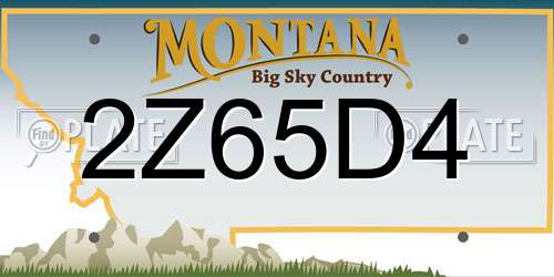 2Z65D4 Montana License Plate