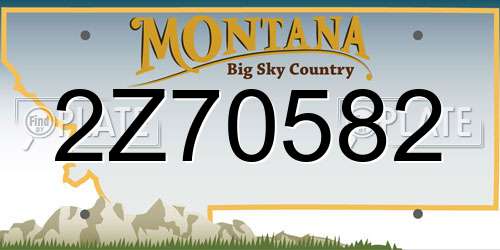 2Z70582 Montana License Plate