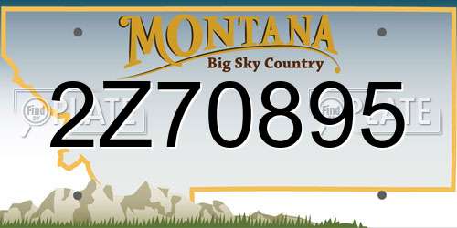 2Z70895 Montana License Plate