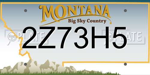2Z73H5 Montana License Plate