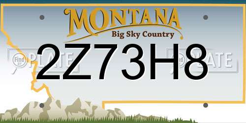 2Z73H8 Montana License Plate