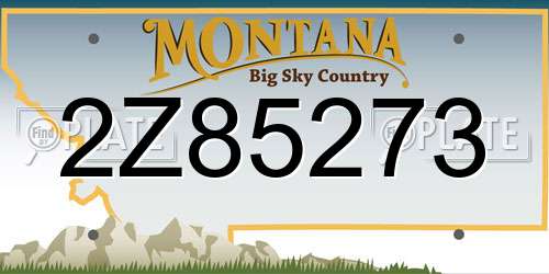 2Z85273 Montana License Plate