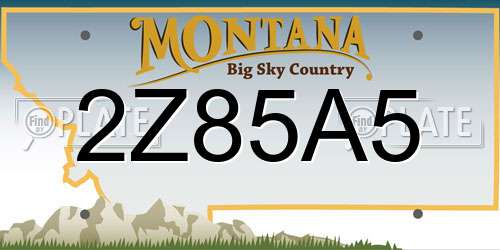 2Z85A5 Montana License Plate