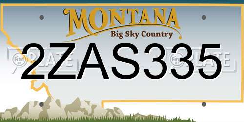 2ZAS335 Montana License Plate