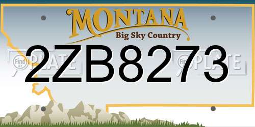 2ZB8273 Montana License Plate