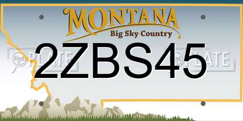 2ZBS45 Montana License Plate