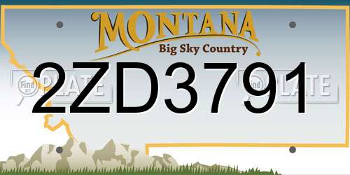 2ZD3791 Montana License Plate