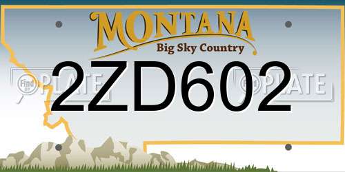 2ZD602 Montana License Plate