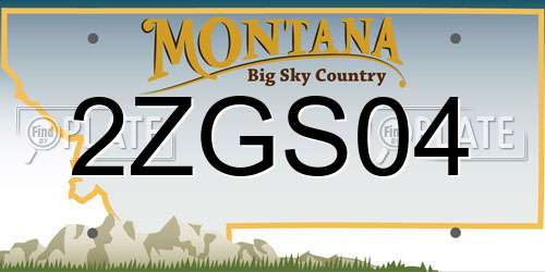 2ZGS04 Montana License Plate