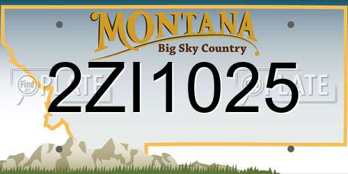 2ZI1025 Montana License Plate