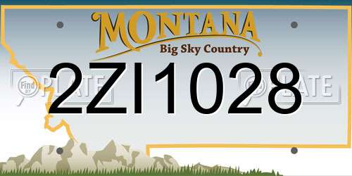 2ZI1028 Montana License Plate