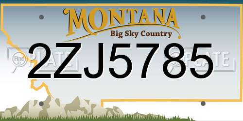 2ZJ5785 Montana License Plate