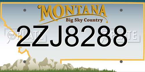 2ZJ8288 Montana License Plate