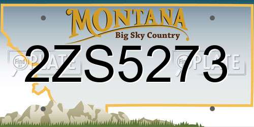 2ZS5273 Montana License Plate