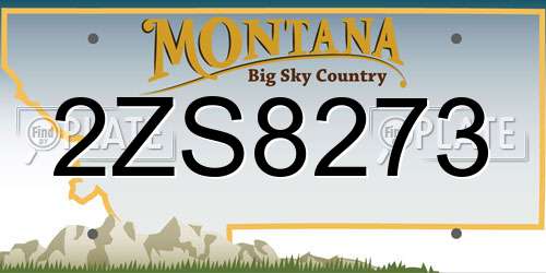 2ZS8273 Montana License Plate