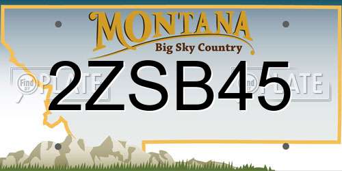 2ZSB45 Montana License Plate