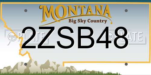 2ZSB48 Montana License Plate