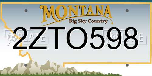 2ZTO598 Montana License Plate