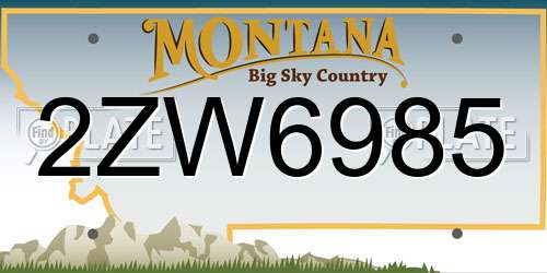 2ZW6985 Montana License Plate