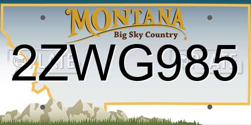 2ZWG985 Montana License Plate