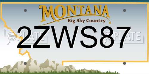 2ZWS87 Montana License Plate