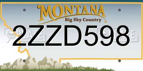 2ZZD598 Montana License Plate