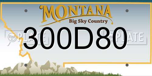 300D80 Montana License Plate