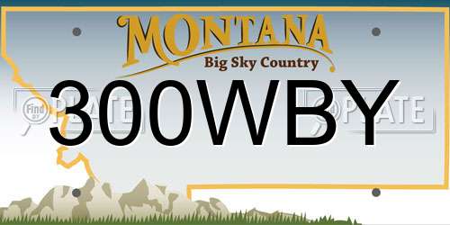300WBY Montana License Plate