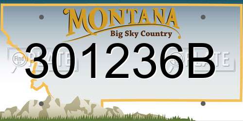 301236B Montana License Plate