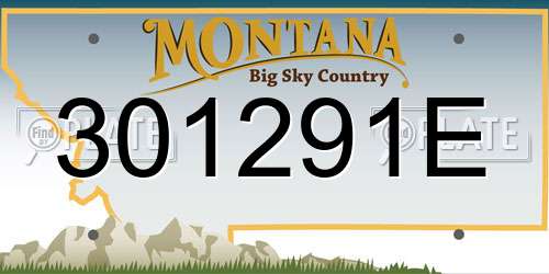 301291E Montana License Plate