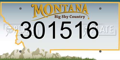 301516 Montana License Plate