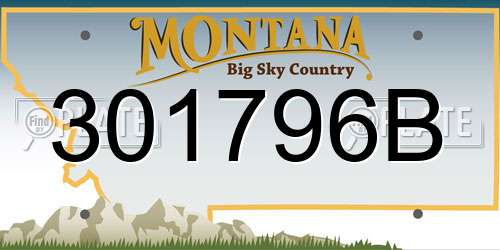 301796B Montana License Plate