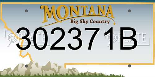 302371B Montana License Plate