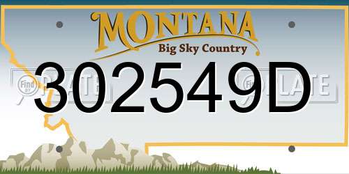 302549D Montana License Plate