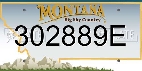 302889E Montana License Plate
