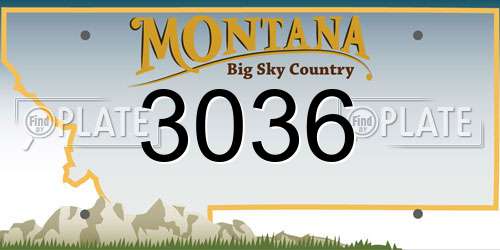 3036 Montana License Plate